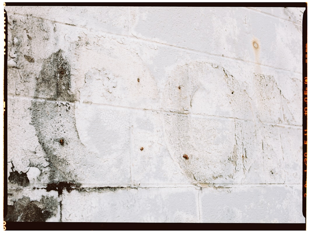 Mold Remediation service in Texarkana, TX